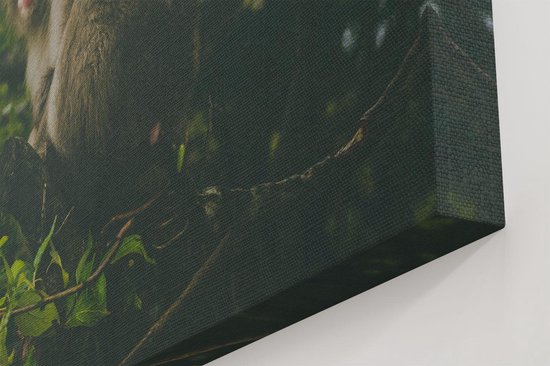 Artaza Toile Peinture Singe Dans L'Arbre Entre Les Feuilles - 40x40 - Klein - Photo Sur Toile - Impression Sur Toile