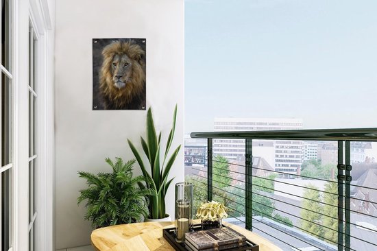 Décoration de Jardin Lion - Portrait - Sauvage - 30x40 cm - Toile de jardin