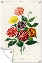 Tuinposters buiten Botanica - Vintage - Bloemen - 60x90 cm - Tuindoek - Buitenposter