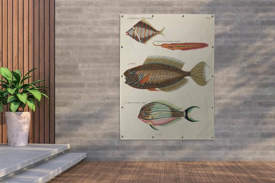 Décoration murale' extérieur Vintage - Animal - Poisson - 120x160 cm