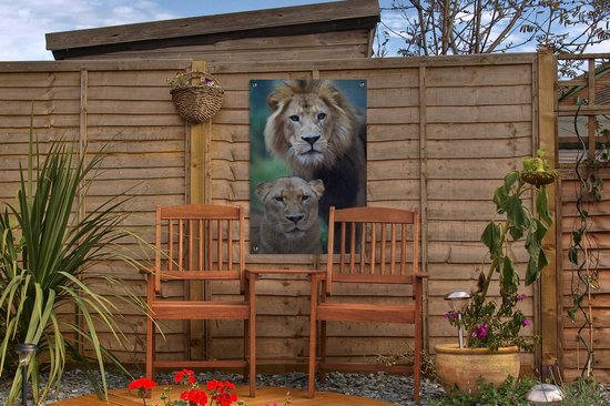 Poster Jardin Lion et Lionne 40x60 cm - petit - Toile de jardin / Toile d'extérieur / Peintures d'extérieur (décoration de jardin)
