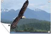 Muurdecoratie Arend - Vogel - Brits Columbia - 180x120 cm - Tuinposter - Tuindoek - Buitenposter