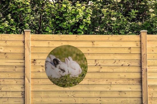 Garden Circle Lapin - Bébé - Champ - 90x90 cm - Affiche de Jardin Ronde - Extérieur