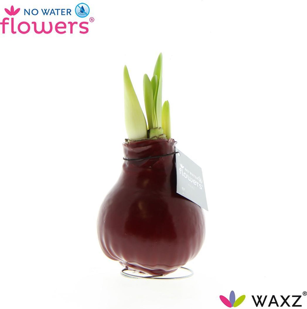 No Water Flowers® Waxz® Bordeaux