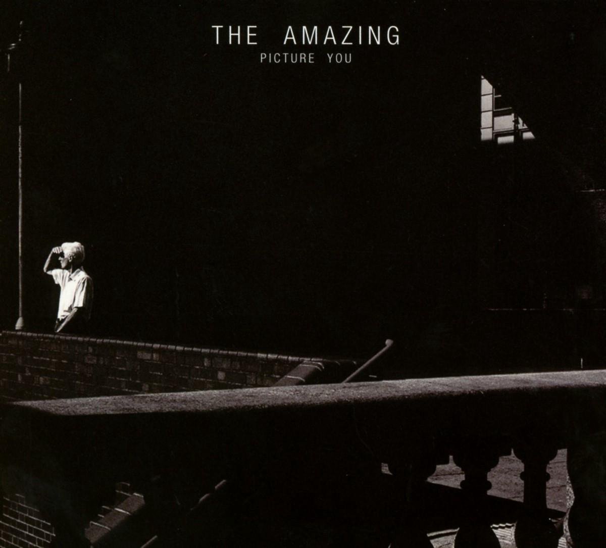 The Amazing - Picture You (CD)
