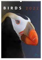 Bekking & Blitz - Birds Posterkalender 2022 - Posterkalender Vogels 2022 - XXL Wandkalender - Kunstkalender - Kunstfoto's - Vogelbescherming Nederland