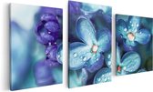 Artaza Canvas Schilderij Drieluik Blauwe Lila Bloemen - Seringen - 120x60 - Foto Op Canvas - Canvas Print