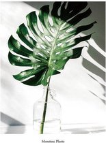 Minimalist Monstera Plant Print Poster Wall Art Kunst Canvas Printing Op Papier Living Decoratie 40X50cm Multi-color
