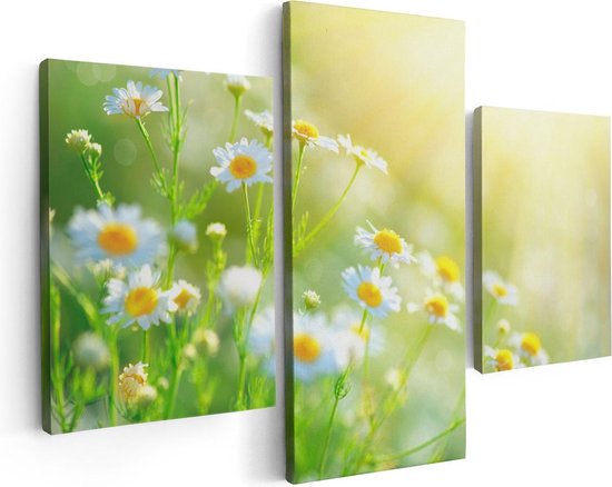 Artaza Canvas Schilderij Drieluik Witte Kamille Bloemen Met Zonneschijn - 90x60 - Foto Op Canvas - Canvas Print