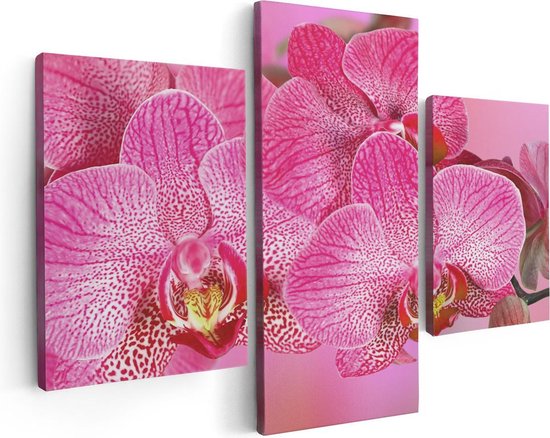 Artaza - Canvas Schilderij - Roze Orchidee Bloemen - Foto Op Canvas - Canvas Print