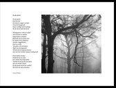 Acacia – Na de storm – maçonniek gedicht in fotolijst zwart aluminium 30 x 40 cm