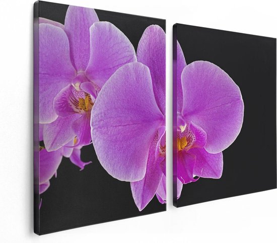 Artaza Canvas Schilderij Tweeluik Licht Paarse Orchidee - Bloem - 120x80 - Foto Op Canvas - Canvas Print