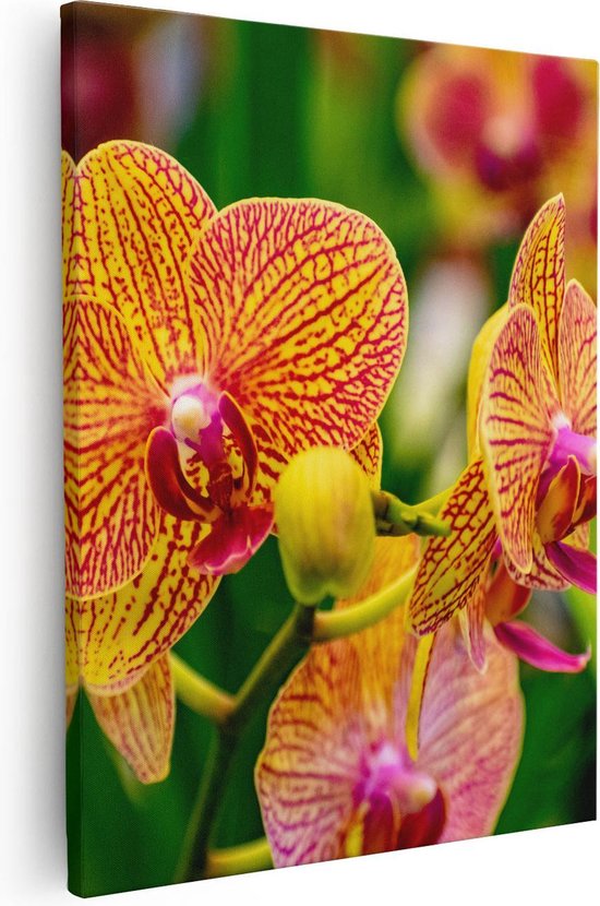 Artaza Canvas Schilderij Geel Rode Orchidee Bloemen - 80x100 - Groot - Foto Op Canvas - Canvas Print