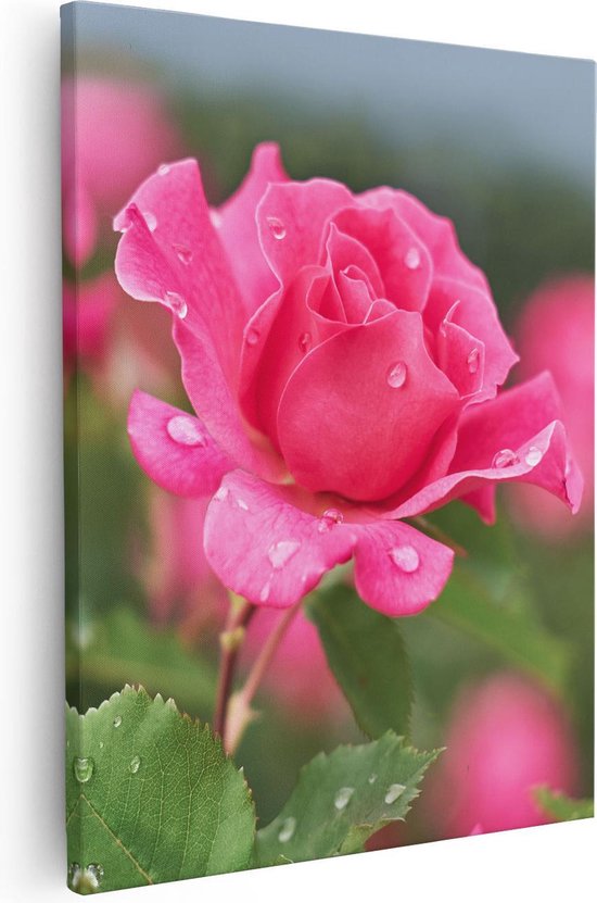 Artaza Canvas Schilderij Roze Roos Met Waterdruppels - 80x100 - Groot - Foto Op Canvas - Canvas Print