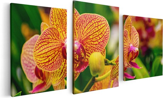 Artaza Canvas Schilderij Drieluik Geel Rode Orchidee Bloemen - 120x60 - Foto Op Canvas - Canvas Print