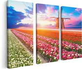 Artaza Canvas Schilderij Drieluik Kleurrijke Bloemenveld Met Een Windmolen - 120x80 - Foto Op Canvas - Canvas Print