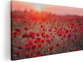 Artaza Canvas Schilderij Rode Klaprozen Bloemenveld Zonsondergang - 100x50 - Groot - Foto Op Canvas - Canvas Print