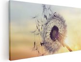 Artaza Canvas Schilderij Paardenbloem Tijdens Zonsondergang - 100x50 - Groot - Foto Op Canvas - Canvas Print