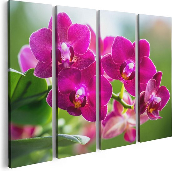 Artaza Canvas Schilderij Vierluik Roze Orchidee Bloemen - 80x60 - Foto Op Canvas - Canvas Print