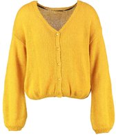 Catwalk junkie kort geel oversized vest pofmouwen - valt ruim - Maat S