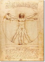 Canvas Schilderij Vitruviusman - Leonardo da Vinci - 50x70 cm