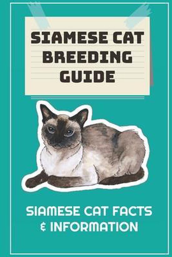 Siamese Cat Breeding Guide Siamese Cat Facts & Information, Janiece