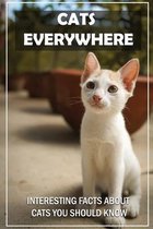 Cats Everywhere: Interesting Facts About Cats You Should Know