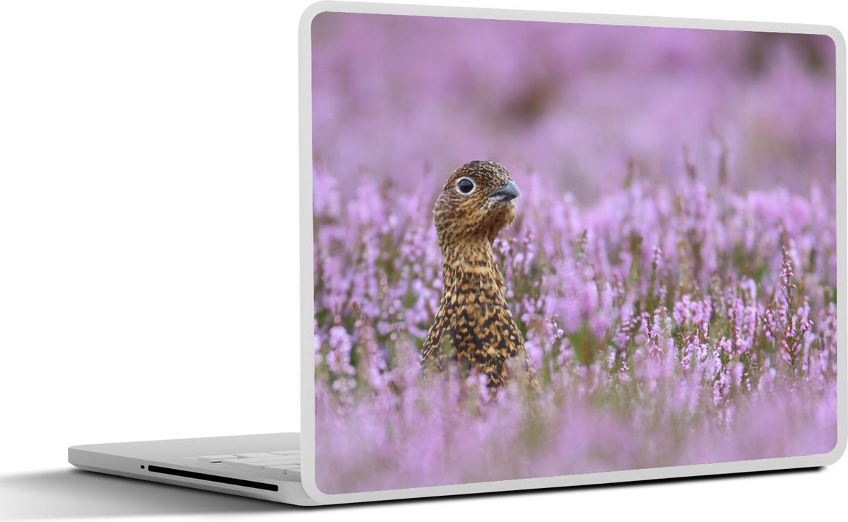 Afbeelding van product SleevesAndCases  Laptop sticker - 10.1 inch - Schots sneeuwhoen tussen lavendel