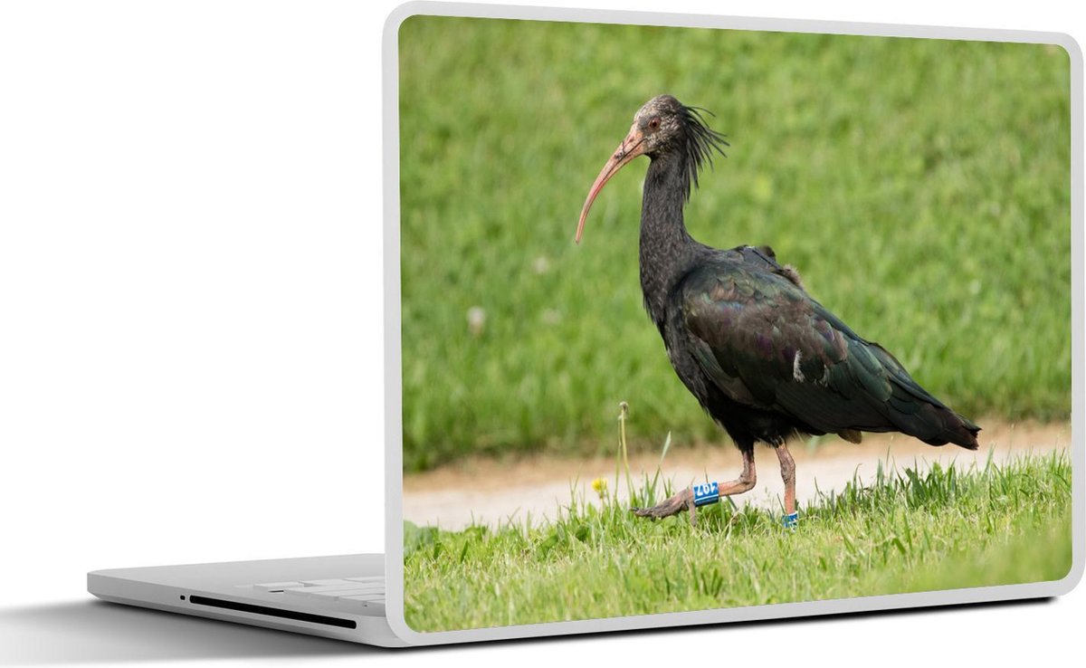 Afbeelding van product SleevesAndCases  Laptop sticker - 12.3 inch - Heremietibis in een grasveld