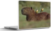 Laptop sticker - 17.3 inch - Twee vogels zitten op een Capibara - 40x30cm - Laptopstickers - Laptop skin - Cover