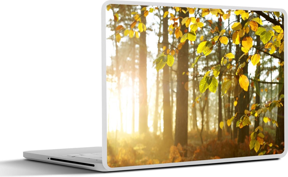 Afbeelding van product SleevesAndCases  Laptop sticker - 15.6 inch - Zon - Licht - Bladeren