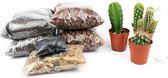 DIY Cactussen open terrarium kit  Instructies toegevoegd