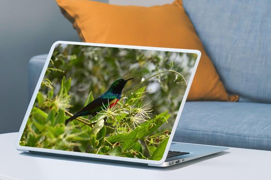 Autocollant pour ordinateur portable - 17,3 pouces - Vogel parmi les feuilles dans la jungle - 40x30cm - Autocollants pour ordinateur portable - Peau pour ordinateur portable - Couverture