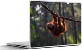 Laptop sticker - 15.6 inch - Jonge orang-oetan hangend aan tak - 36x27,5cm - Laptopstickers - Laptop skin - Cover