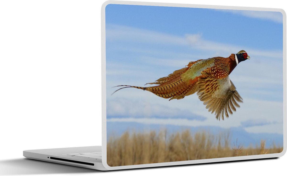 Afbeelding van product SleevesAndCases  Laptop sticker - 14 inch - Fazant - Veren - Vogel