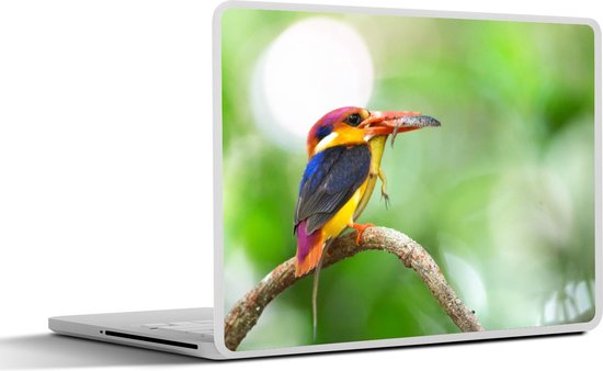 Laptop sticker - 13.3 inch - Vogel - Reptielen - Veren