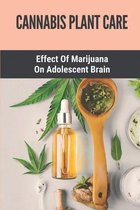 Cannabis Plant Care: Effect Of Marijuana On Adolescent Brain