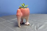 Plant 'n Bak - Pot Fögl - Diameter 10 cm - Superleuke plantenpot! - Rood - Keramiek - Vogel