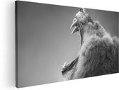 Artaza Canvas Schilderij Brullende Leeuw - Zwart Wit  - 40x20 - Klein - Foto Op Canvas - Canvas Print