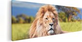 Artaza - Peinture sur Canevas - Lion - Tête de lion - 60x20 - Photo sur Toile - Impression sur Toile
