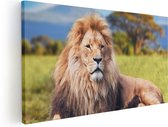 Artaza Canvas Schilderij Leeuw - 60x30 - Foto Op Canvas - Canvas Print