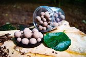 Carpmission -Popups - Tijgernoten Popups - 150ml - 12 & 15mm