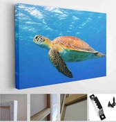 Sea turtle underwater swimming in the blue sea. Vibrant blue ocean with turtle. Scuba diving with wild water animal - Modern Art Canvas - Horizontal - 1099659629 - 115*75 Horizonta