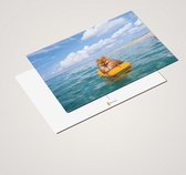 Cadeautip! | Luxe Pomeriaan Ansichtkaarten set 10x15 cm | 24 stuks
