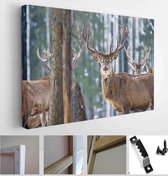 Red young deer in winter forest. wildlife, Protection of Nature. Raising deer in their natural environment - Modern Art Canvas - Horizontal - 1927545452 - 115*75 Horizontal