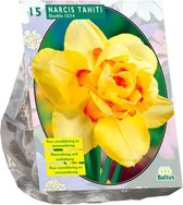 Plantenwinkel Narcissus Dubbel Tahati bloembollen per 15 stuks