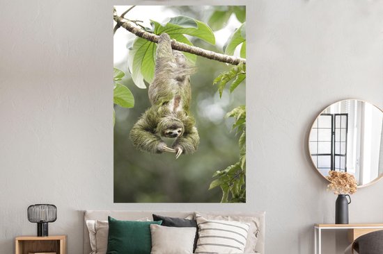 Poster Un paresseux pendu la tête en bas dans les arbres - 120x180 cm XXL