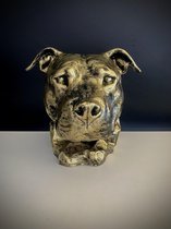 Hondenkop American Stafford 31 cm hoog - polyester - hond - dog - polyresin - polystone - hoogkwalitatieve kunststof - decoratiefiguur - interieur - accessoire - voor binnen - voor buiten - c