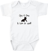 Babyrompertje Opa & Oma ik kom eraan