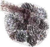 Dennenappels Decoratie Set - Herfstdecoratie - Winter - Kerstdecoratie - Gemixt Wit Hout - 2cm